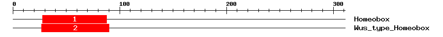Signature Domain