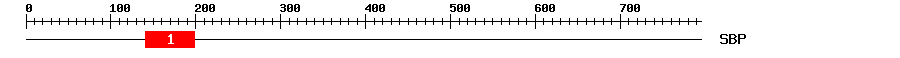 Signature Domain
