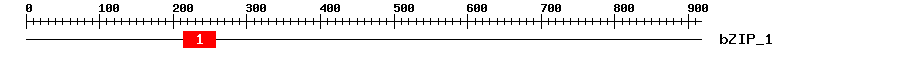 Signature Domain