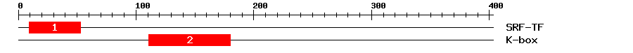 Signature Domain