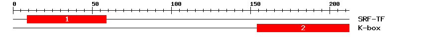 Signature Domain