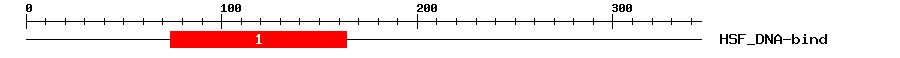 Signature Domain