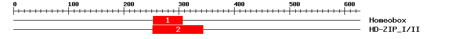 Signature Domain