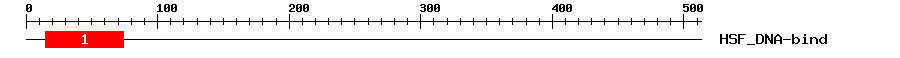 Signature Domain