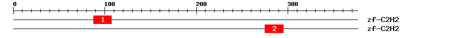 Signature Domain