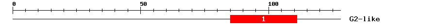 Signature Domain