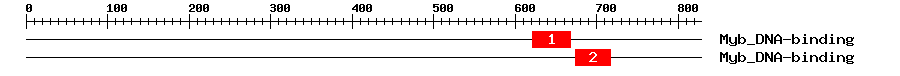 Signature Domain