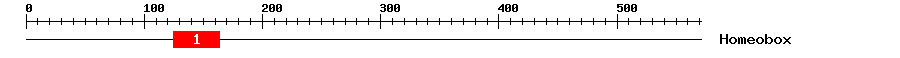 Signature Domain