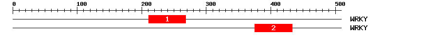 Signature Domain