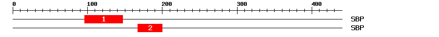 Signature Domain