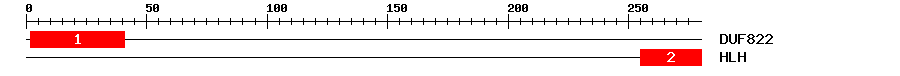 Signature Domain