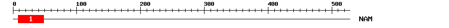 Signature Domain