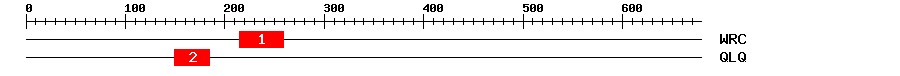 Signature Domain