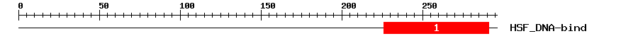 Signature Domain