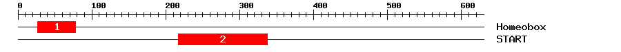 Signature Domain