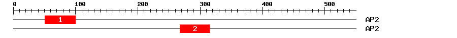 Signature Domain