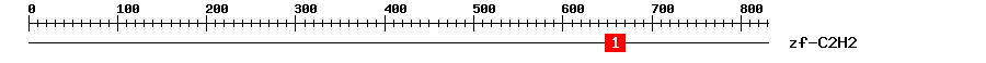 Signature Domain
