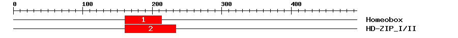 Signature Domain