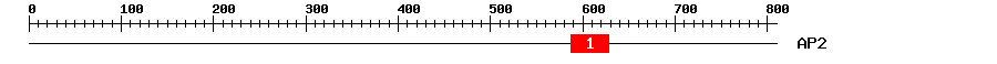 Signature Domain