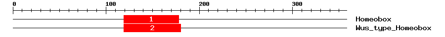 Signature Domain