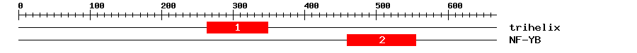 Signature Domain