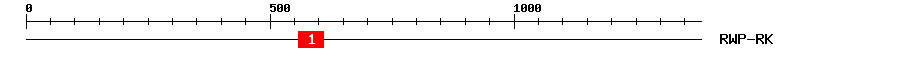 Signature Domain