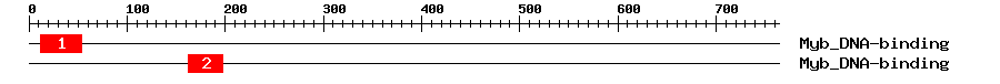 Signature Domain