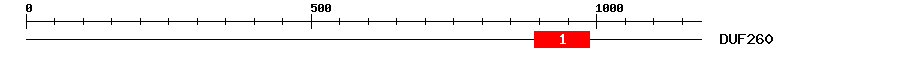 Signature Domain