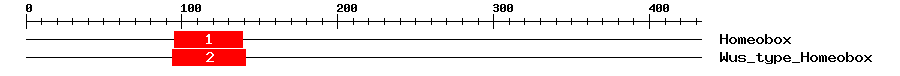 Signature Domain