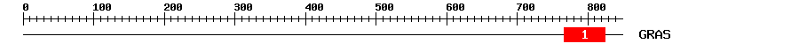 Signature Domain