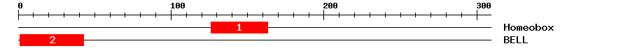 Signature Domain