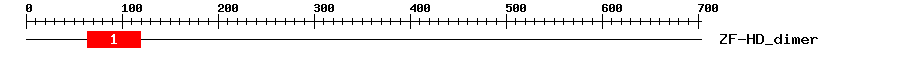 Signature Domain
