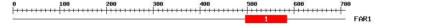 Signature Domain