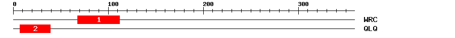 Signature Domain