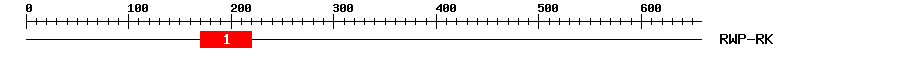 Signature Domain