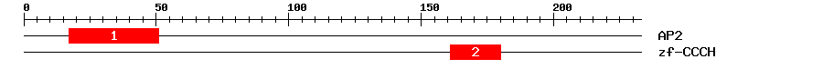 Signature Domain