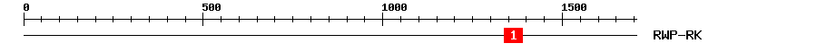 Signature Domain