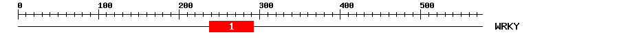 Signature Domain