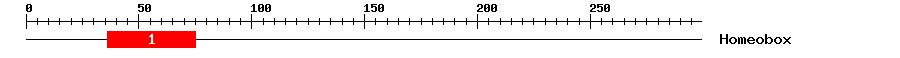 Signature Domain