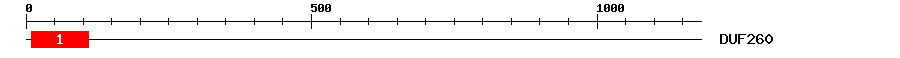 Signature Domain
