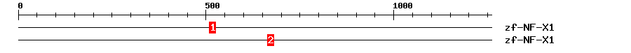 Signature Domain