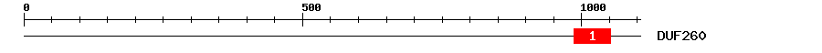 Signature Domain