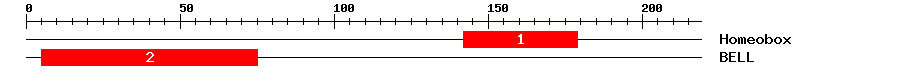 Signature Domain