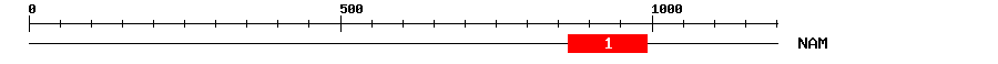 Signature Domain