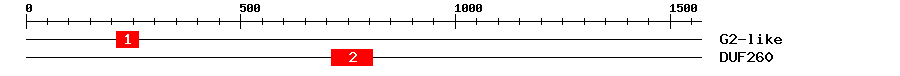 Signature Domain
