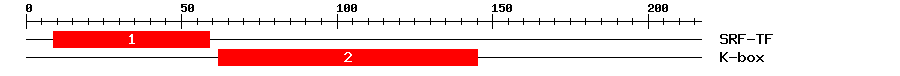 Signature Domain