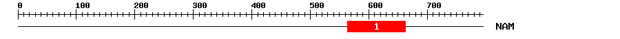 Signature Domain