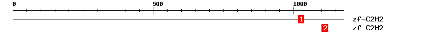Signature Domain