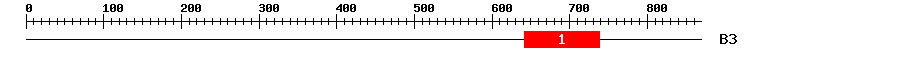Signature Domain
