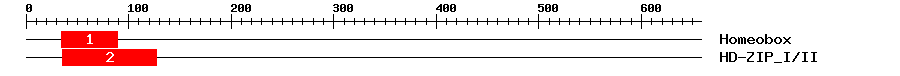 Signature Domain